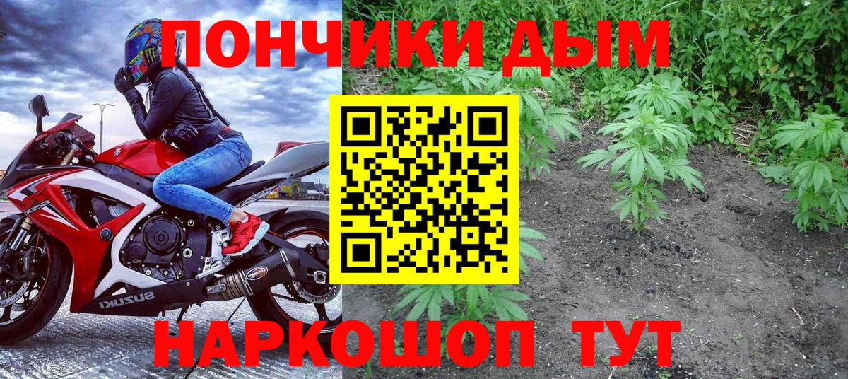 Бошки марихуана конопля  Бошки марихуана индика  Серпухов  Бошки марихуана Bruce Banner  Вход с VPN 